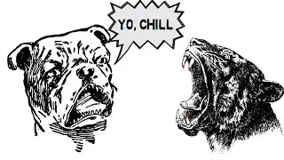 How To Handle Any Conflict - Stop Fighting and Communicate More Effectively