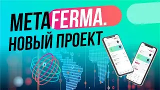 Meta Ferma - Инвестиции в метавселенную