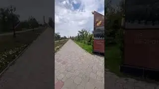 Музыка для души