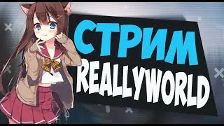 Stream reallyworld и это развитее после вайпа I помогите с ресами