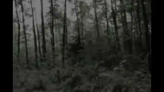 Человек-Тень