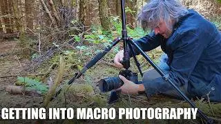 First Macro Photography Trip with Sigma 105mm Lens | Exploring Nature Up Close