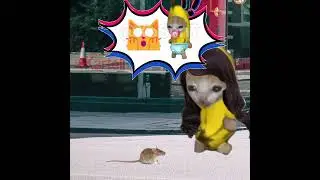 BANANA CAT 🍌🐱 BABY IS KIDNAPPED BY UFO AND RESCUED BY ROCKET 