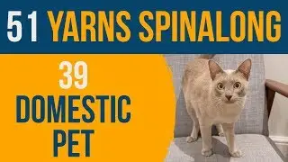 51 Yarns: 39 — Spinning Cat Fur Into Yarn