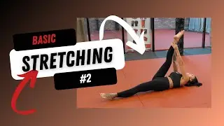 Basic Stretching | Binous Gym | Workout