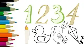 Learn how to draw birds with numbers #bolaruchan #funkeepart #Stepbystep