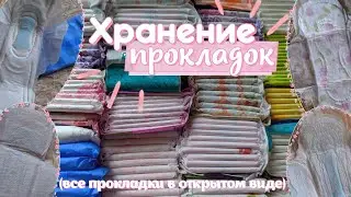 🌸ХРАНЕНИЕ ПРОКЛАДОК |Сентябрь-Октябрь|🌸