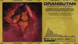 MESITA - ORANGUTAN
