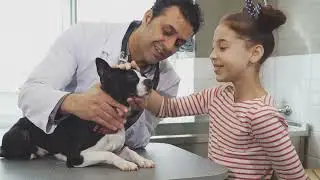 Therapy dogs: The Furry Healers