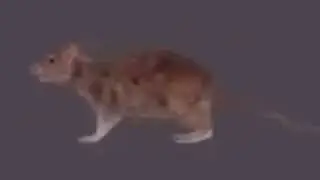 low quality gangam style |  heart breaking | TheMemeGoat