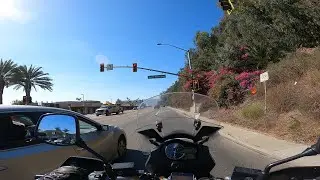 nearly rear ended