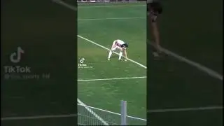 WTF ? 😂😂😂Zlatan eats peanuts during a Match😂😂