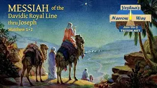 Yeshua's Narrow Way - Messiah of the Davidic Royal Line thru Joseph - Matthew 1-2