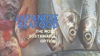 Japanese Seafood | What Are The Most Sustainable Options? | SakanaBlue