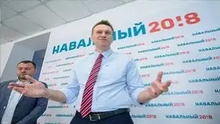 Кактус #036