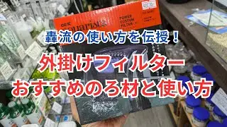 【外掛けフィルターを使いこなす！】外掛け式フィルターにおすすめのろ材と使い方