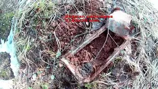 КОП ПО ВОЙНЕ №2- В ПОИСКАХ ХАБАРНЫХ МЕСТ. (In search of German bunker).