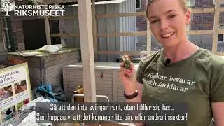 Göra eget bi-hotell