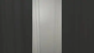 Двери Палацио , производства белвудорс
