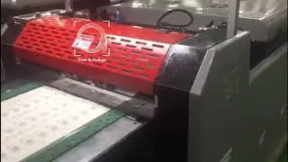 Машина для сплошного лакирования с УФ и Ик сушками SGUV 620S