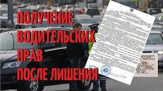 Получение водительских прав после лишения