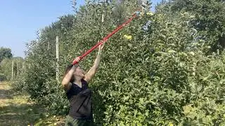 Apple Farm