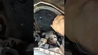 Часто забивається сажевий фільтр.