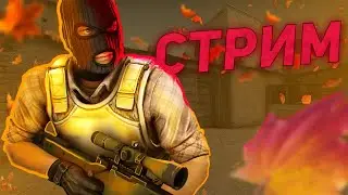 ИГРАЮ В КС ГО С ПОДПИСЧИКАМИ