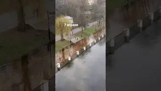 Разлив реки в Гомеле 