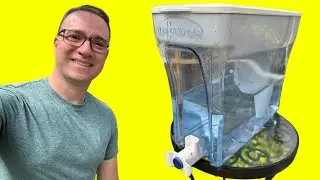Alternatives for Distilled Water for Plants