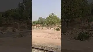 Despacito  ! Travelling Short