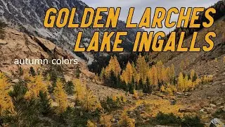 Lake Ingalls | Larches and autumn colors