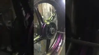 Bunglon green magenta