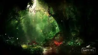 Celtic Music - The Ancient Grove -