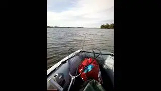Лодка Групер 330+NS Marine 9.8