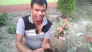 আমার ফুলের বাগানে কিছু নতুন ফুলচারা লাগালাম ।My First Vlog | #myfirstvlog