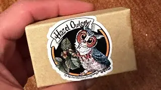 Are y’all ready for all this @hazelowlery cuteness 🤩 #hazelowlery #spider #owl #jumpingspider