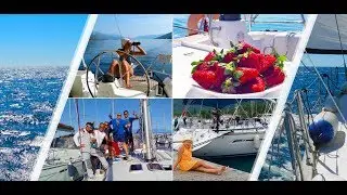 Movavi Clips Video 20