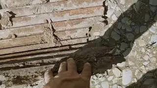 комбайн клас лексіон 560.