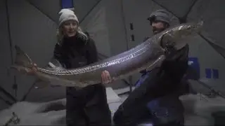 TOP 3 BIGGEST STURGEON CAUGHT THROUGH THE ICE! - (compilation)