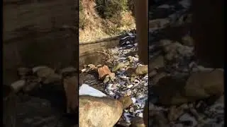 Звуки природы и звуки чаш и Колокольчика