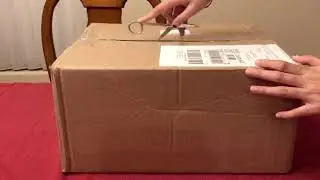 Chuck Taylor All Star GR82 Unboxing