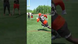 LOVE IT LOVE IT LOVE IT🧡