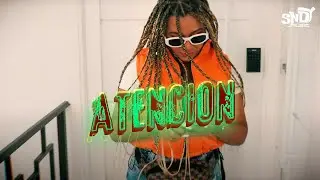 MERY LIONZ x sndy - ATENCION (VISUALIZER)
