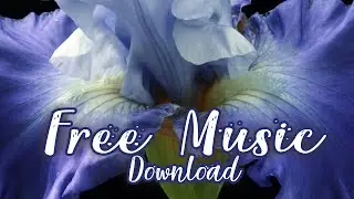 Electronica music free download without copyright issue..
