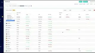 Import/Export widget