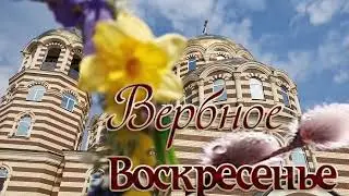 Поздравление с Вербным Воскресением! Храм Сщмч. Ермогена Гольяново
