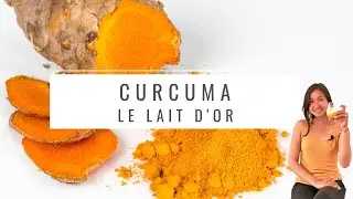 Le Curcuma et sa recette du Lait d'OR