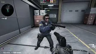 СS : GO пришлось всех положить
