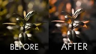 Lightroom Editing | Lightroom Presets | Free Presets
